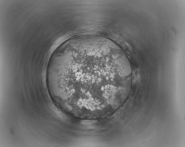 X0000112380051200909032001