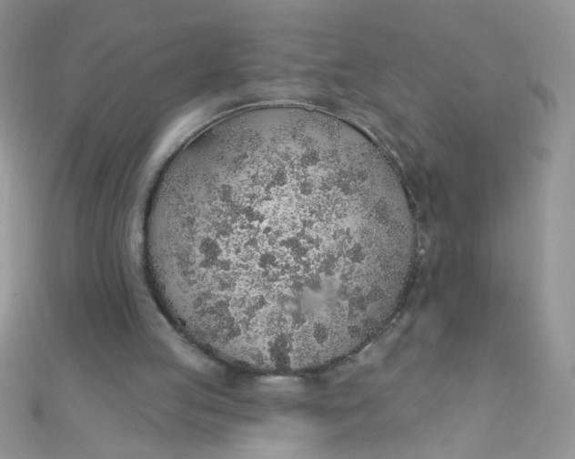 X0000112380053200909032001