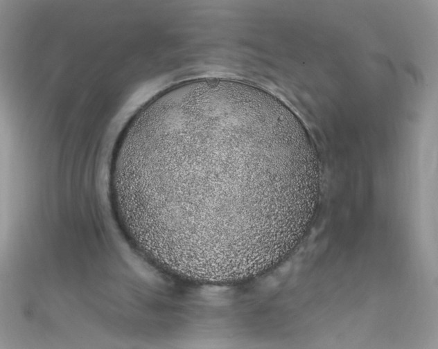 X0000112380055200909032001