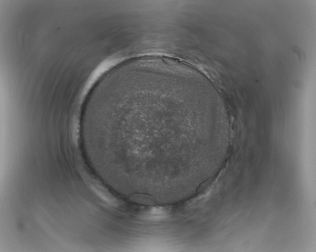 X0000112380056200909032001