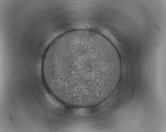 X0000112380058200909032001