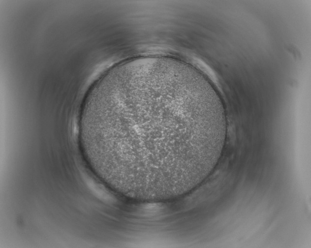 X0000112380059200909032001