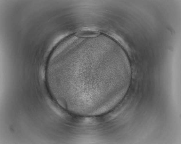 X0000112380060200909032001