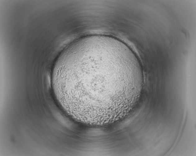 X0000112380061200909032001