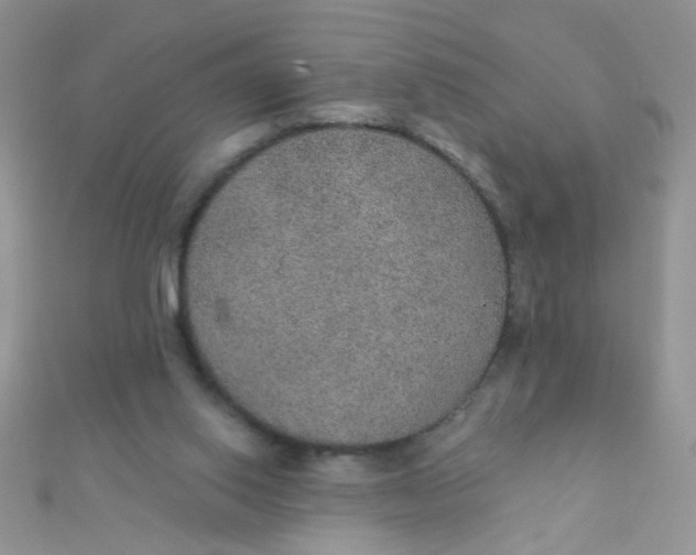 X0000112380062200909032001