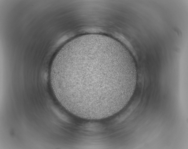 X0000112380063200909032001