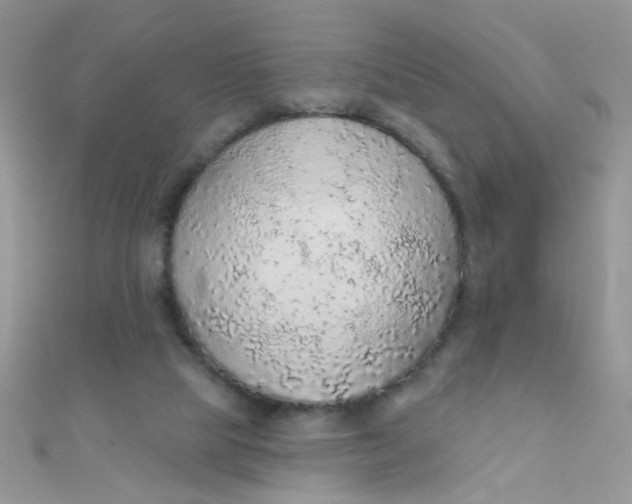 X0000112380065200909032001