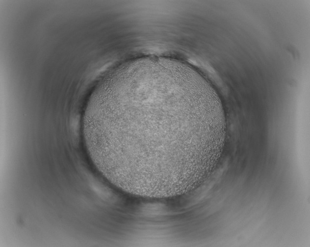 X0000112380066200909032001