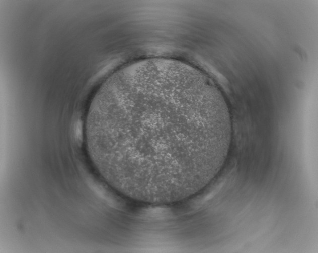 X0000112380067200909032001