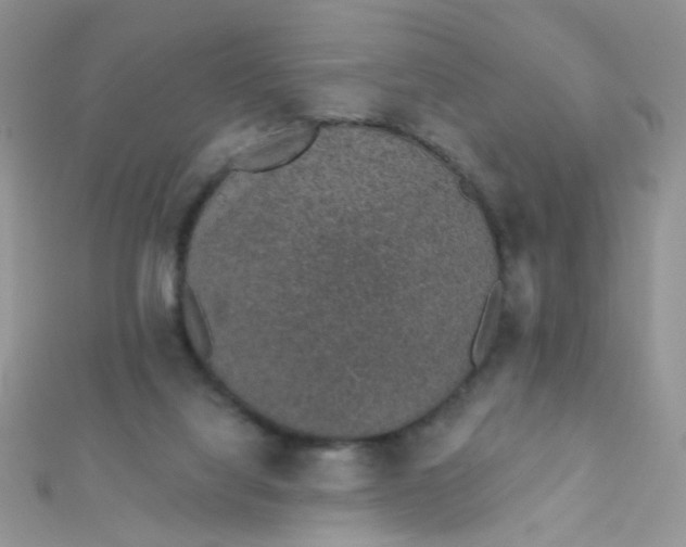 X0000112380068200909032001