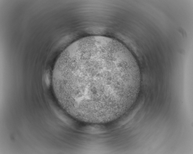 X0000112380069200909032001