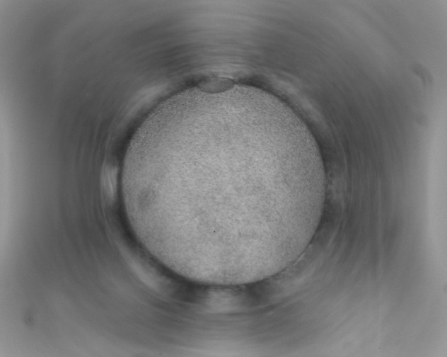 X0000112380070200909032001