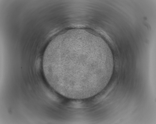 X0000112380071200909032001