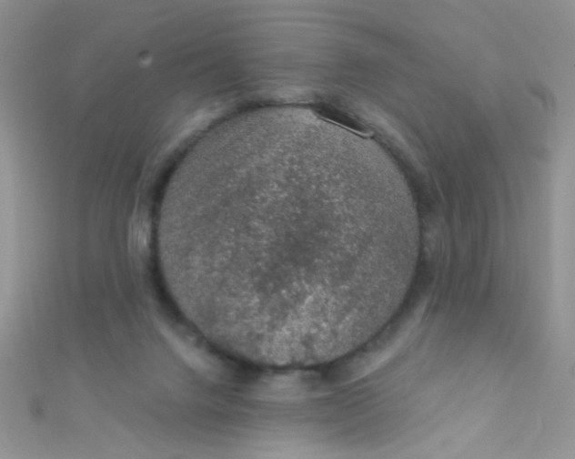 X0000112380072200909032001