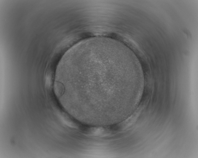 X0000112380074200909032001