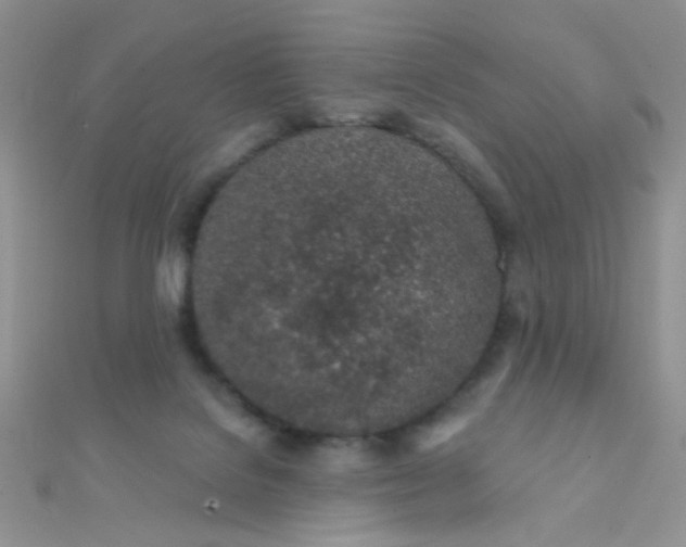 X0000112380076200909032001