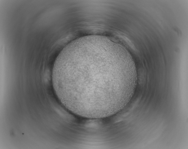 X0000112380077200909032001