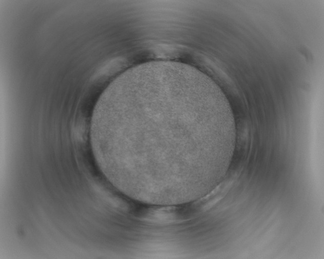 X0000112380078200909032001