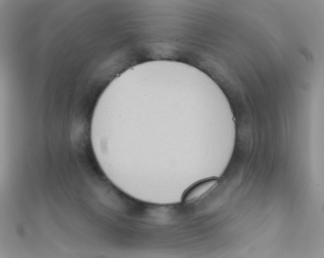 X0000112380079200909032001