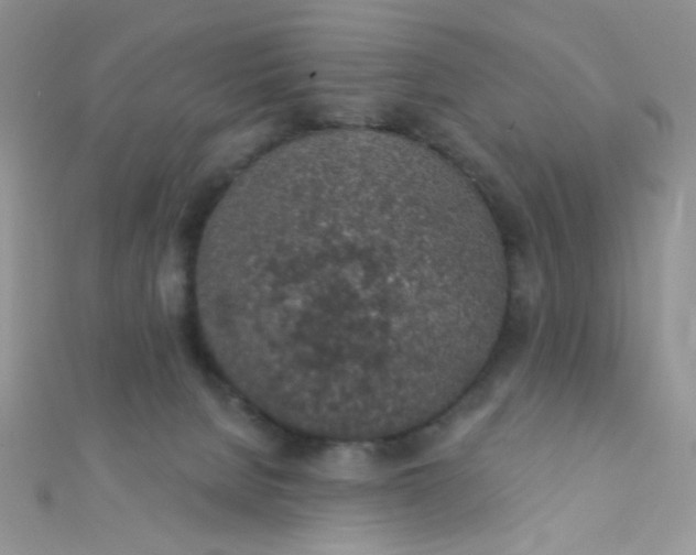 X0000112380080200909032001