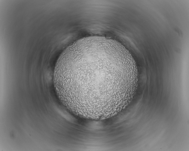 X0000112380081200909032001