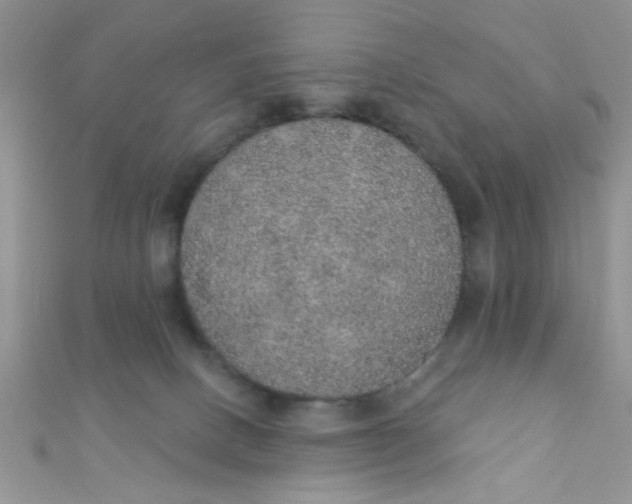 X0000112380082200909032001