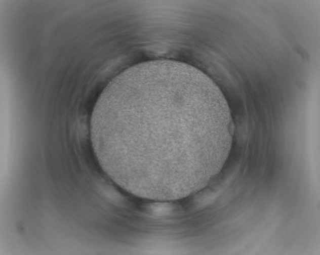 X0000112380085200909032001