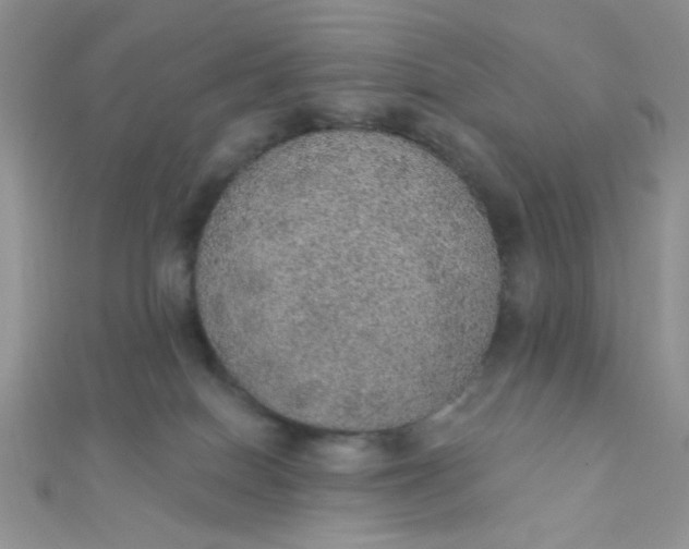 X0000112380086200909032002