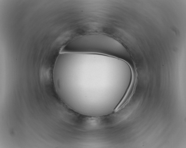 X0000112380088200909032002