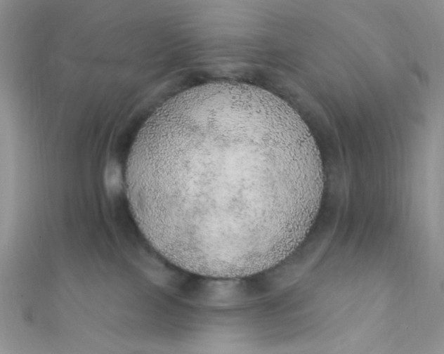 X0000112380089200909032002