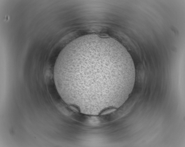 X0000112380091200909032002