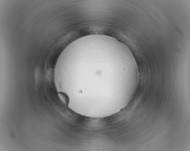 X0000112380093200909032002