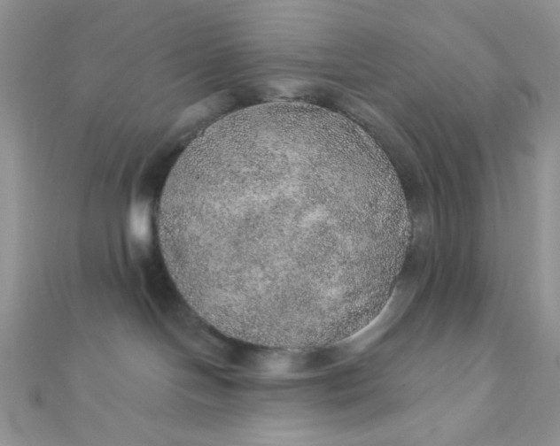 X0000112380094200909032002