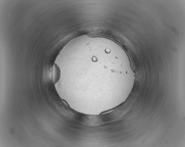 X0000112380095200909032002