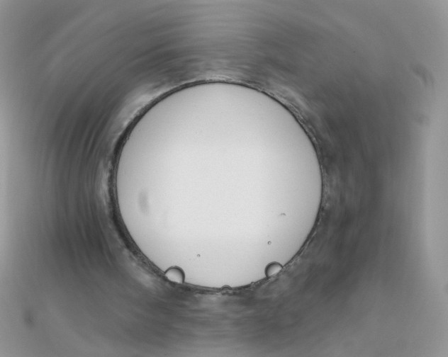 X0000112380098200909032001