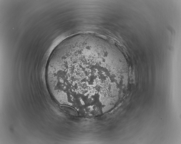 X0000112380099200909032001