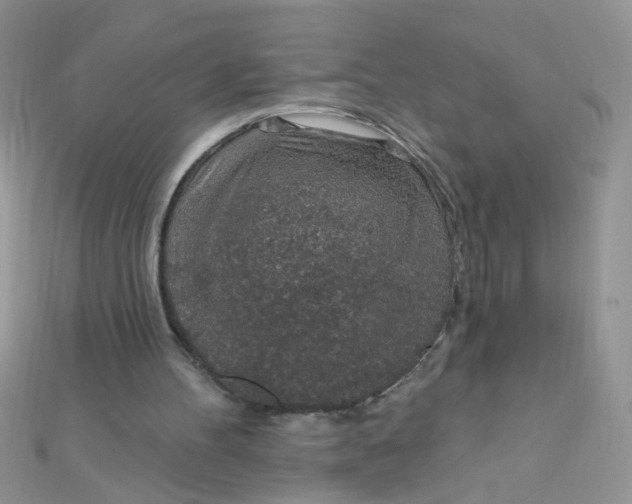 X0000112380100200909032001