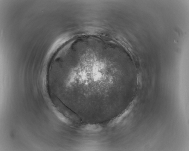 X0000112380101200909032001