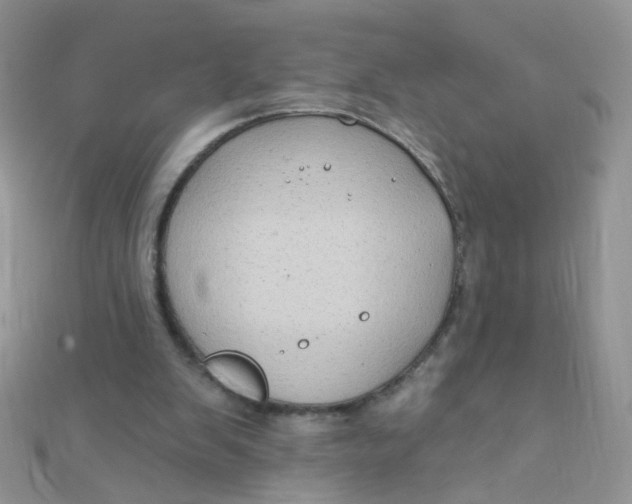 X0000112380103200909032001