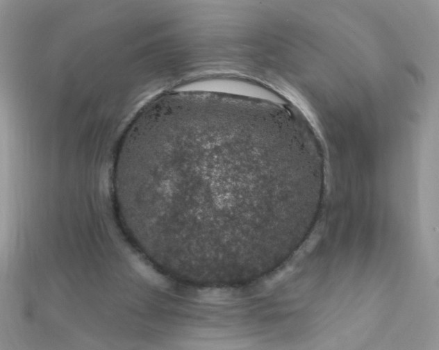 X0000112380105200909032001