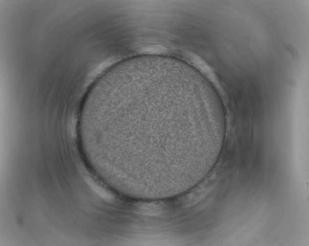 X0000112380106200909032001