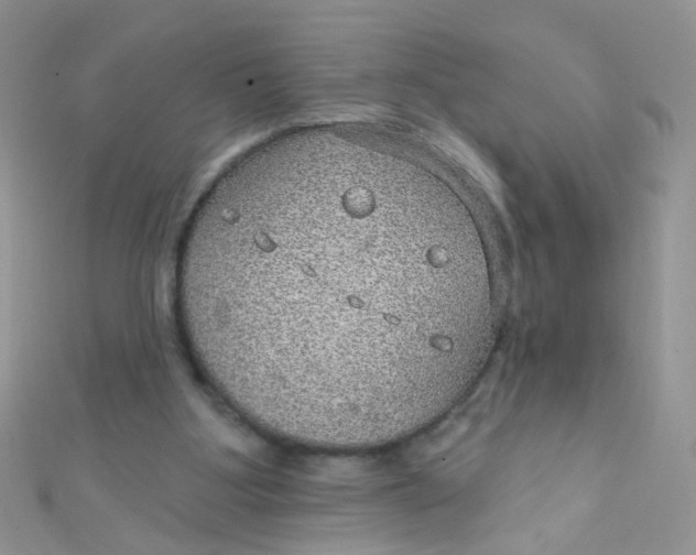 X0000112380107200909032001