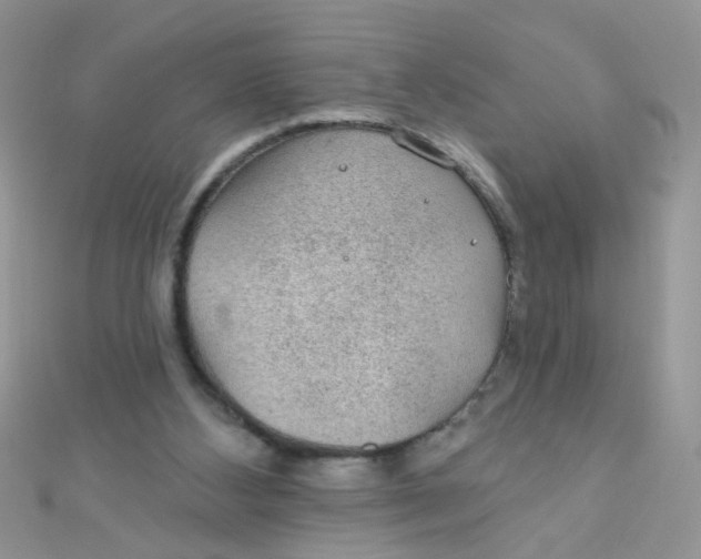 X0000112380108200909032001