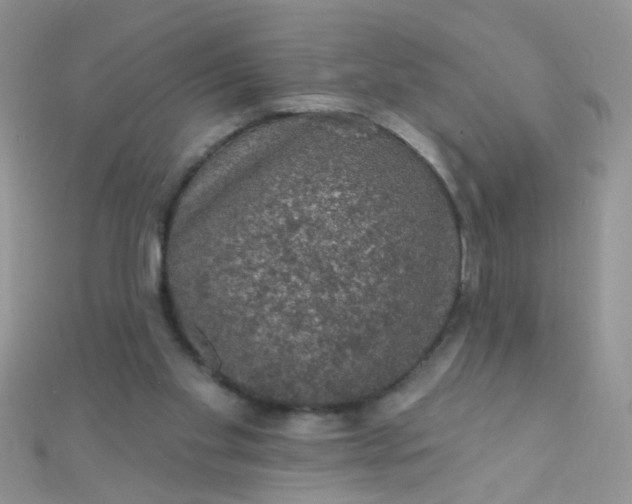 X0000112380109200909032001