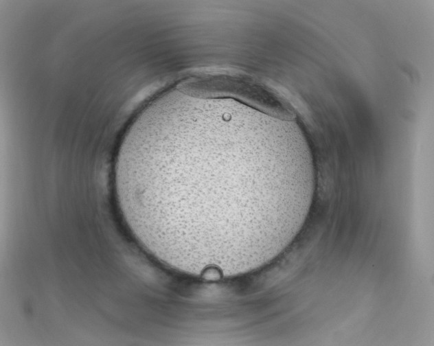 X0000112380111200909032001