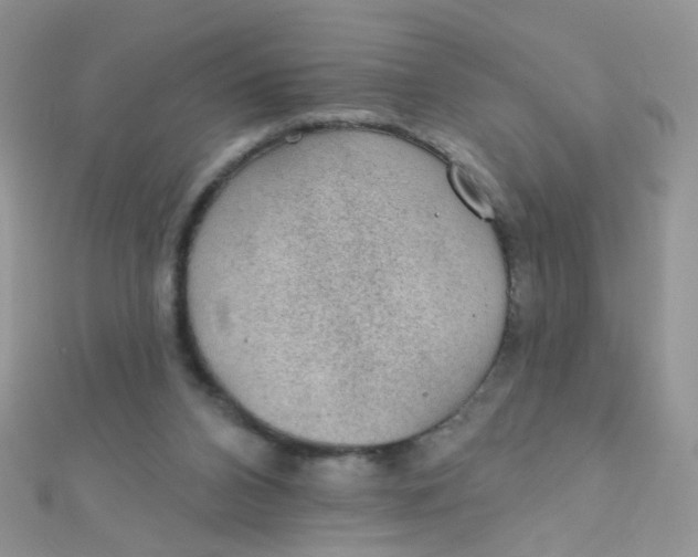 X0000112380112200909032001