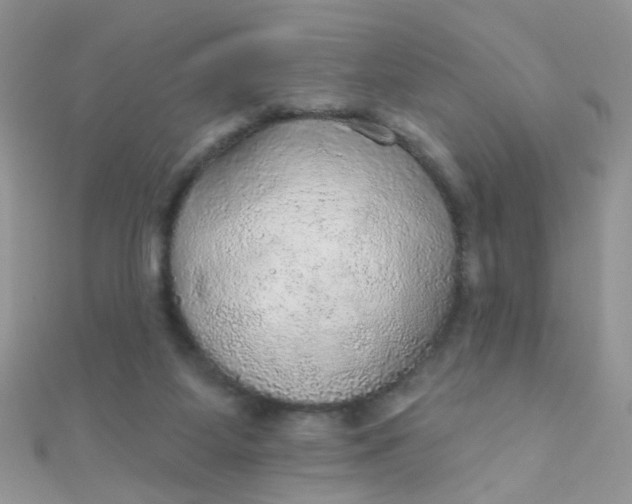 X0000112380115200909032001