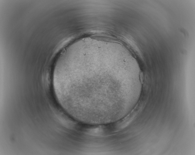 X0000112380116200909032001