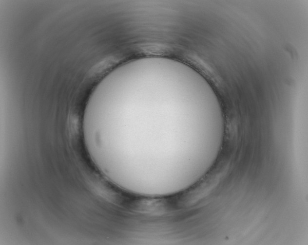 X0000112380117200909032001