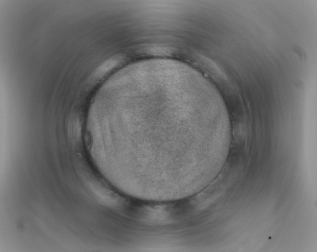 X0000112380120200909032001